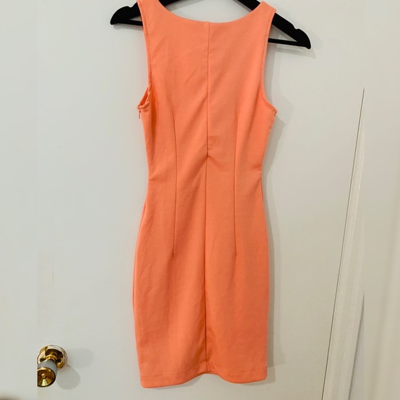 Coral Fitted Dress - Picture 6 of 6